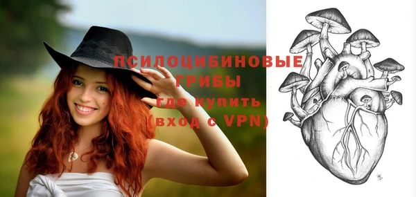 эйфоретик Белокуриха