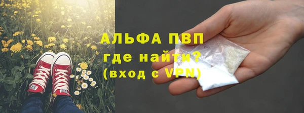 эйфоретик Белокуриха