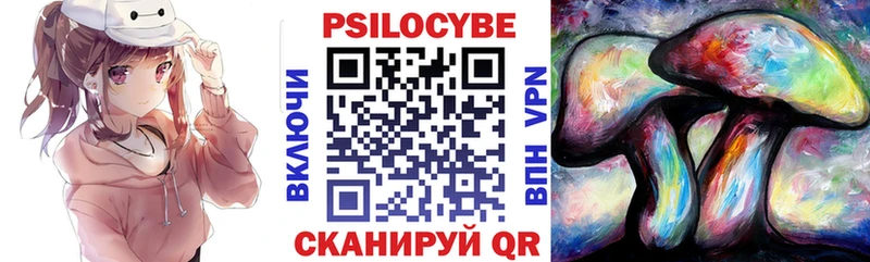 закладка  Задонск  Галлюциногенные грибы прущие грибы 